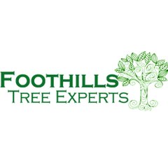 Foothills-Tree-Experts