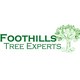 Foothills-Tree-Experts