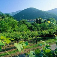 agriturismofranciacorta