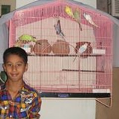 Salman Salman