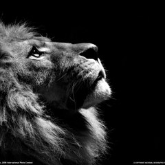 キャプテンおじん