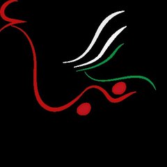 شبكة الانباء الفلسطينية   نبأ