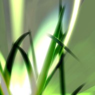 Traitement Des Rides