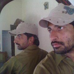 hassan raza