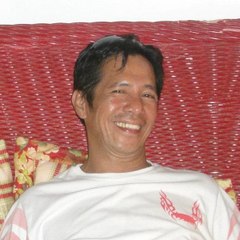IMwithPert