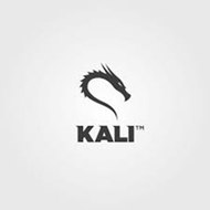 Уроки Kali Linux