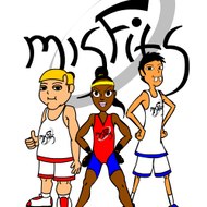 MisFits Training Systems