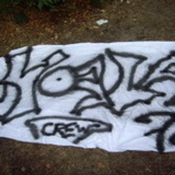 *K*O*A*L*A team