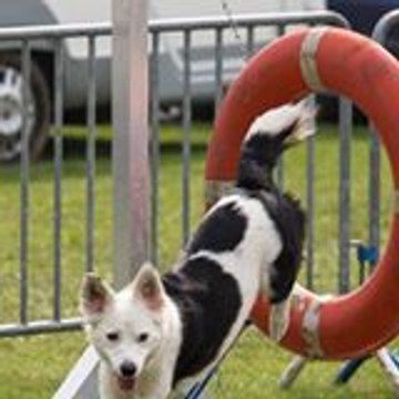 Chloé-Luna Deguide-Agility