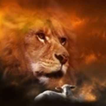 Liviu Rafael Nichiforiuc