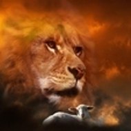 Liviu Rafael Nichiforiuc