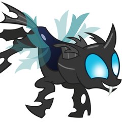 raptornx01