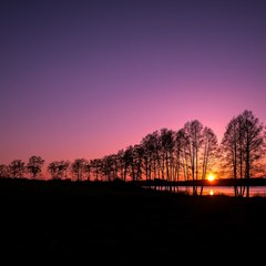 Awesome Videos