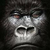 Stu Art str8jakkett@gmail.com