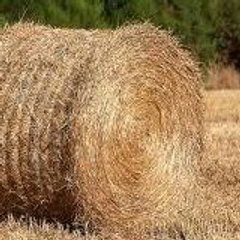 seb62agri