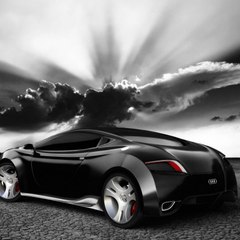 Amazing Videos