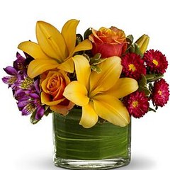 Same Day Flowers