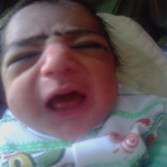 Malik Ahmad