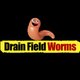 Drainfieldworms