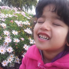 AmMaD