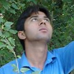 Basit Rasheed