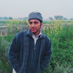 Amjad Butt