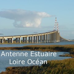 Bretagne Vivante Estuaire Loire Océan
