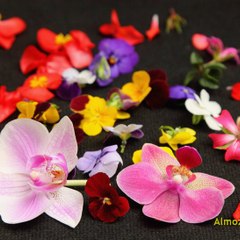 floresenlamesa