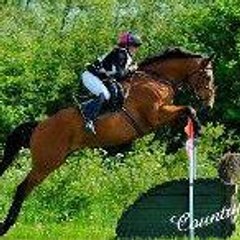 Fron Haul Equestrian
