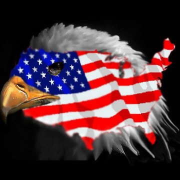 allamericanwebcontent