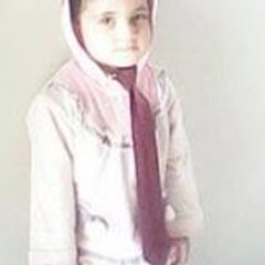 Tayyab Mehmood