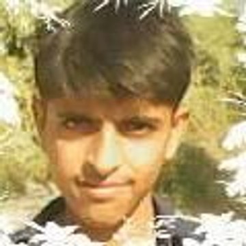 Tanveer Basheer
