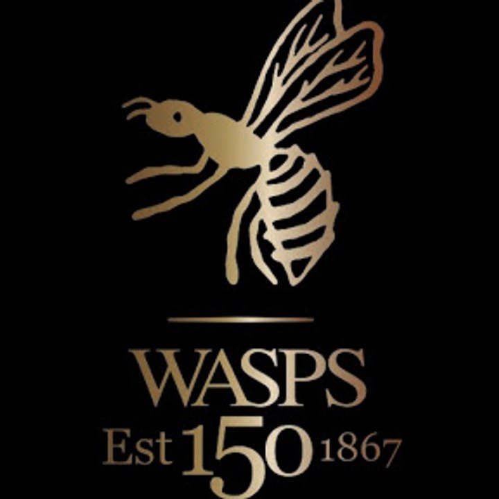 Dailymotion profile picture for @wasps