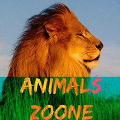 Animals-Zoone