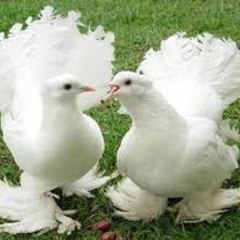 KalBen_Aşk
