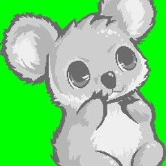 Lonely Koala Alberto