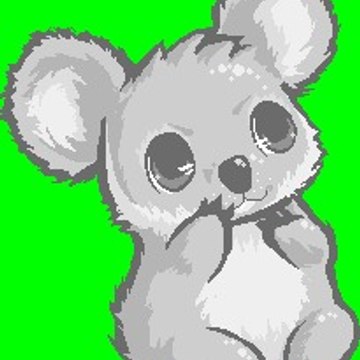 Lonely Koala Alberto