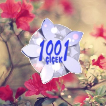 Feryal Öney'le 1001 Çiçek
