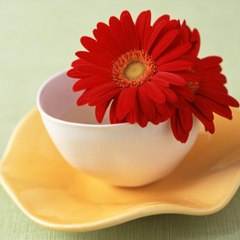 Aricho