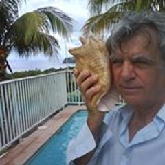 michel raulet