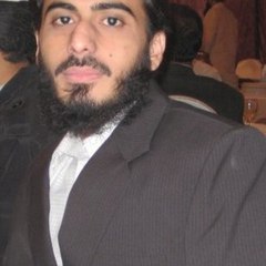 Muhammad Waseem