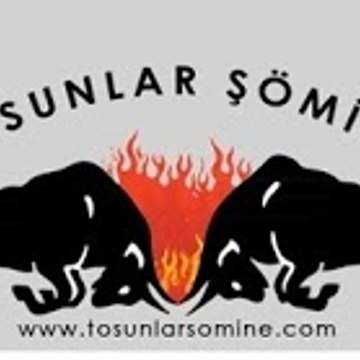 Tosunlar Şömine