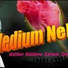Medyum Nehir