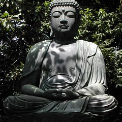Siddhartha