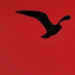 L'Oise au Rouge