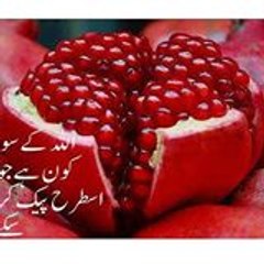 12 RABI UL  AWAL 2014