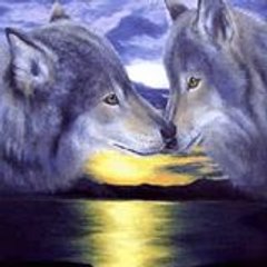Winter Wolf