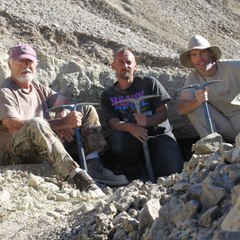 Dominionexploration