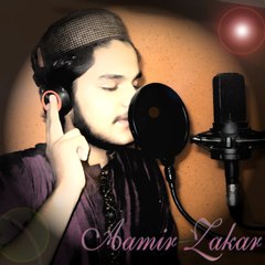 Syed Muhammad Aamir Zakar Hashmi