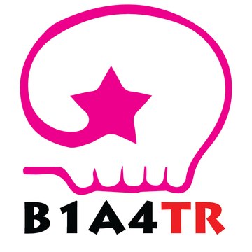 B1A4 Turkey Team